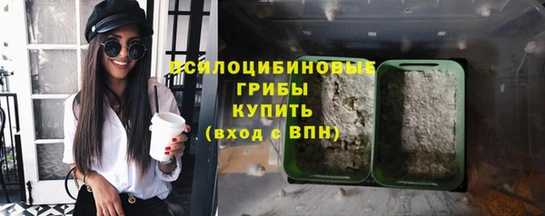 спайс Магас