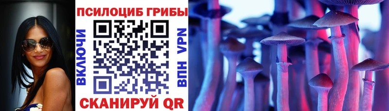 Псилоцибиновые грибы GOLDEN TEACHER  Мензелинск 
